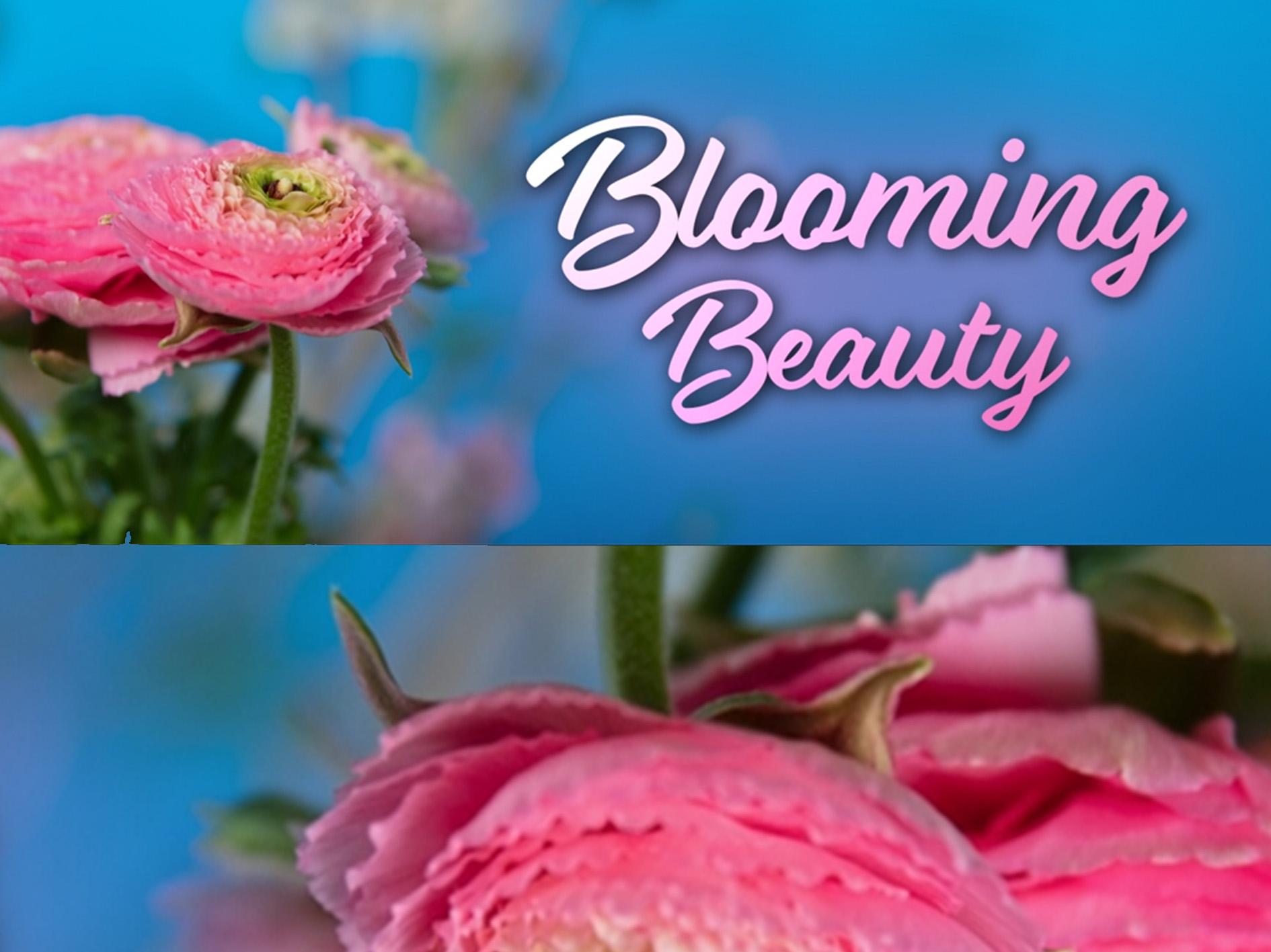 Blooming Beauty hero image
