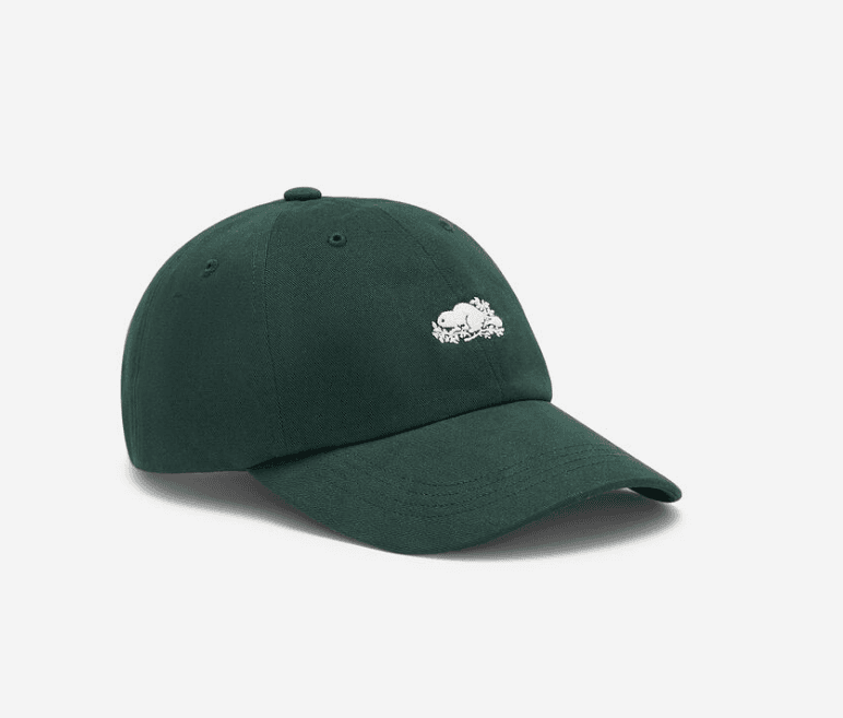 Everyday Cooper Beaver Cap