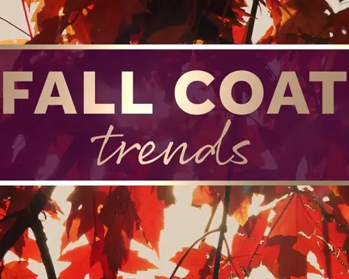 Fall Coat Trends hero image
