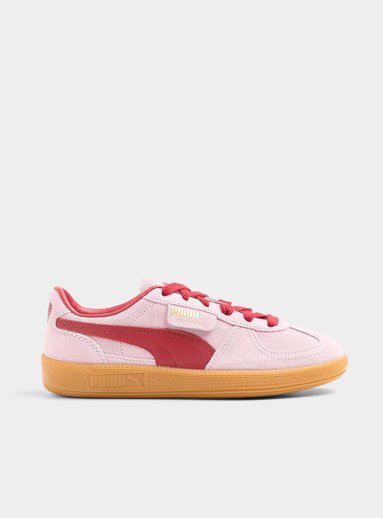 Puma - Palermo retro colours leather sneakers Women (Women, Pink, 8.5)