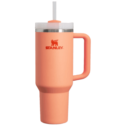 Stanley The Quencher H2.O FlowState Tumbler Nectarine